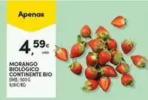 Continente Bom dia Bio - morango biologico continente bio promoção