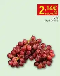 Recheio Globe - uva red promoção
