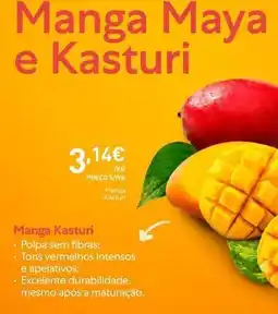Recheio A+ - manga kasturi promoção