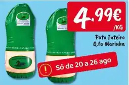 Ponto Fresco Pato Inteiro Q.ta Marinha promoção