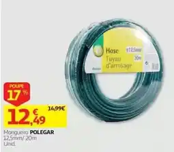 Auchan Mangueira polegar promoção