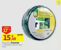 Auchan Mangueira polegar promoção