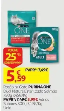 Auchan Ração p/ Gato Purina One promoção