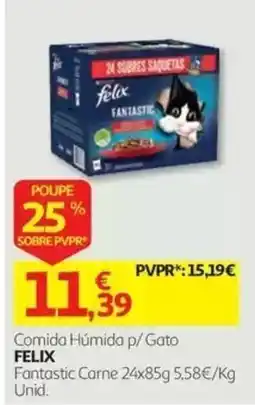 Auchan felix fantastic carne promoção