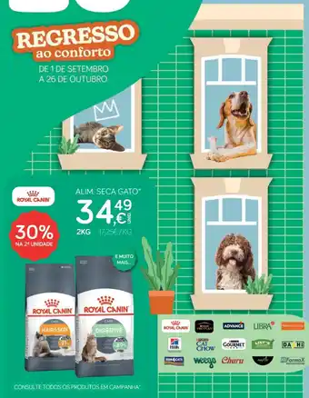 Royal Canin Alim. Seca Gato
