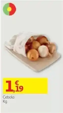 Auchan Cebola promoção