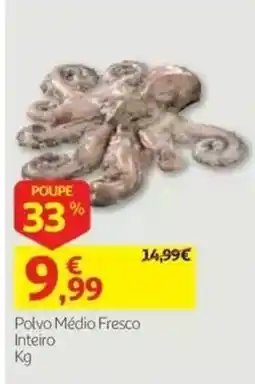 Auchan Polvo Médio Fresco Inteiro promoção