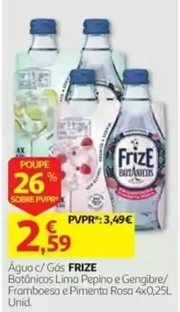 Auchan Água c/ Gás FRIZE Botânicos promoção