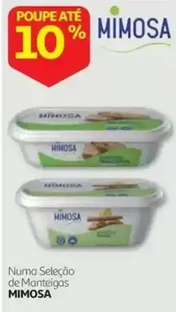 Auchan Manteigas Mimosa promoção