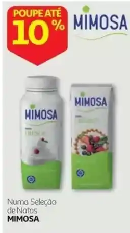 Auchan Natas Mimosa promoção