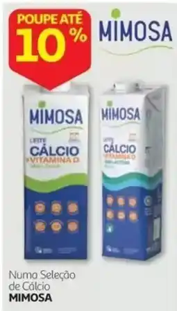 Auchan Numa Seleção de Cálcio Mimosa promoção
