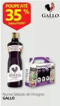 Auchan Numa Seleção de Vinagres Gallo promoção