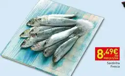 Recheio Sardinha fresca promoção