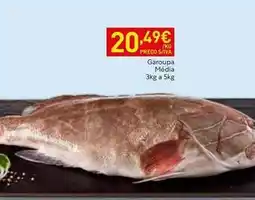 Recheio A+ - garoupa média promoção
