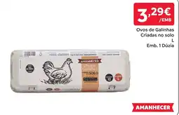Amanhecer Ovos de Galinhas Amanhecer promoção