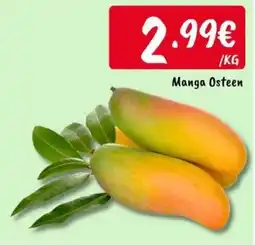 Ponto Fresco Manga Osteen promoção