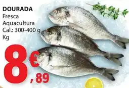 E.Leclerc dourada fresca aquacultura promoção
