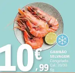 E.Leclerc Gambão selvagem promoção
