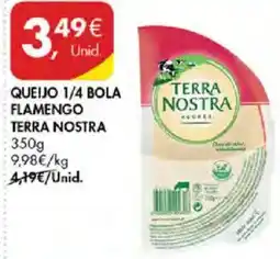 Pingo Doce queijo 1/4 bola flamengo terra nostra promoção