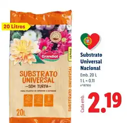 Lidl Substrato universal grandiol promoção