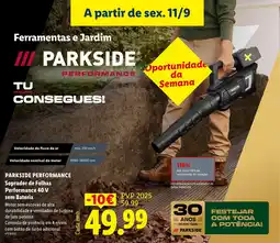 Lidl Parkside performance soprador de folhas performance 40 v sem bateria promoção