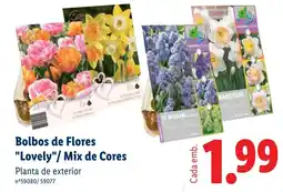 Lidl Bolbos de Flores "Lovely"/ Mix de Cores promoção