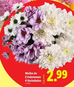 Lidl Molho de Crisântemos 4 Variedades promoção