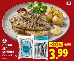 Lidl Ocean Sea Sardinha promoção