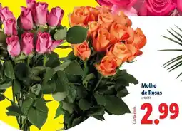 Lidl Molho de Rosas promoção
