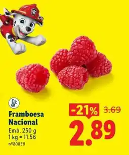 Lidl Framboesa Nacional promoção