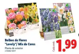 Lidl Bolbos de Flores Lovely/ Mix de Cores promoção