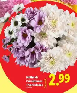 Lidl Molho de Crisântemos 4 Variedades promoção