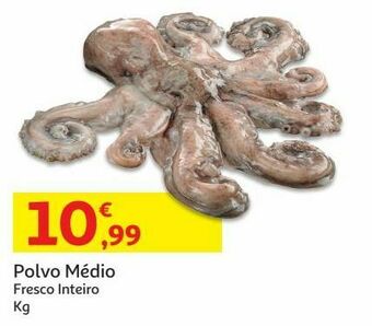 Auchan Polvo medio:fresco inteiro kg promoção