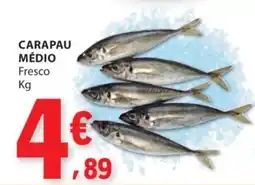 E.Leclerc Carapau médio promoção