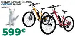 Feu Vert bicicleta elétrica de montanha e motorad t-rex air promoção