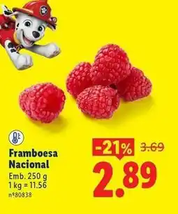 Lidl Nacional - framboesa promoção