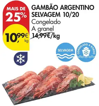 Gambão argentino selvagem 10/20