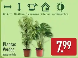 ALDI Plantas Verdes promoção