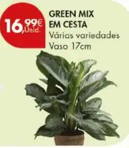 Pingo Doce green mix em cesta promoção