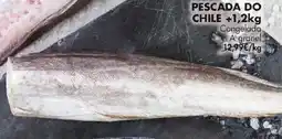 Pingo Doce Pescada do chile promoção
