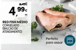 Continente Red fish médio promoção