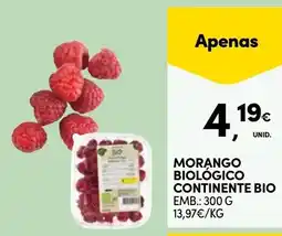Continente Morango biológico continente bio promoção