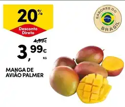 Continente manga de avião palmer promoção