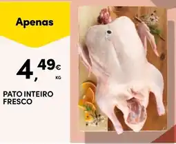Continente Pato inteiro fresco promoção