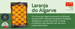 Recheio Laranja do Algarve promoção