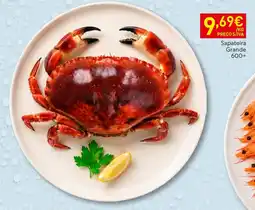 Recheio Sapateira Grande promoção