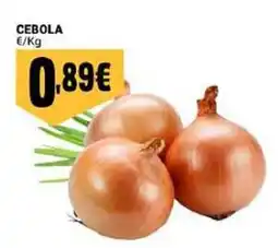 Neomáquina cebola promoção