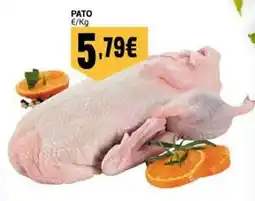 Neomáquina Pato promoção