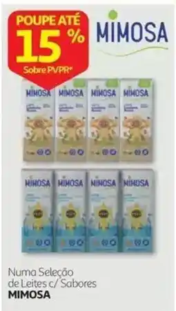 Auchan leites c/ sabores mimosa promoção