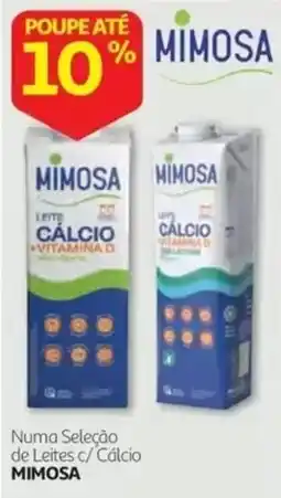 Auchan Leite c/ Cálcio Mimosa promoção